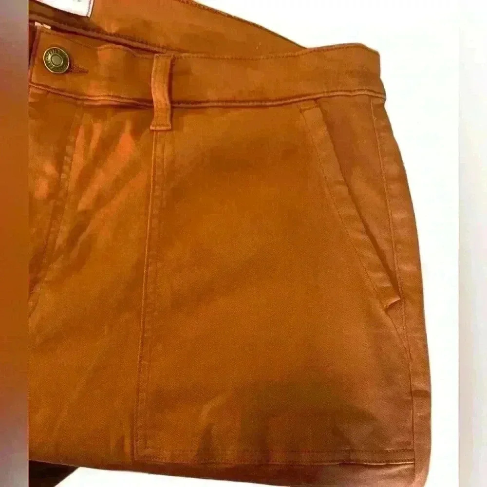 Studio Blue Rust Orange Crop Ankle Pants Size 18W - Picture 2 of 9